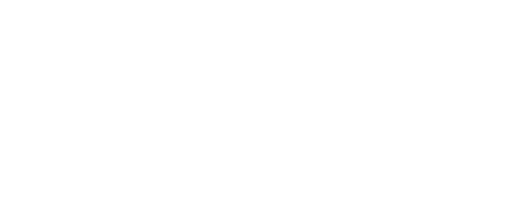 Rappit - Rapid application development | Vanenburg