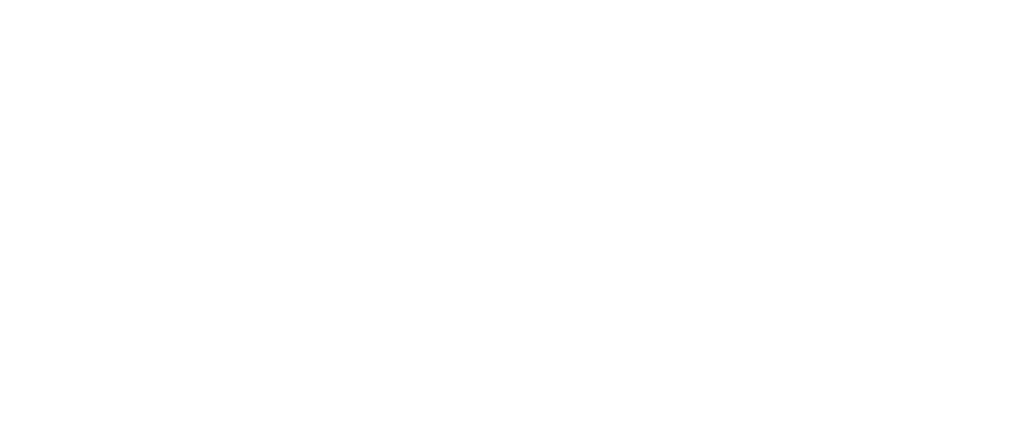 Logo Rappit_White